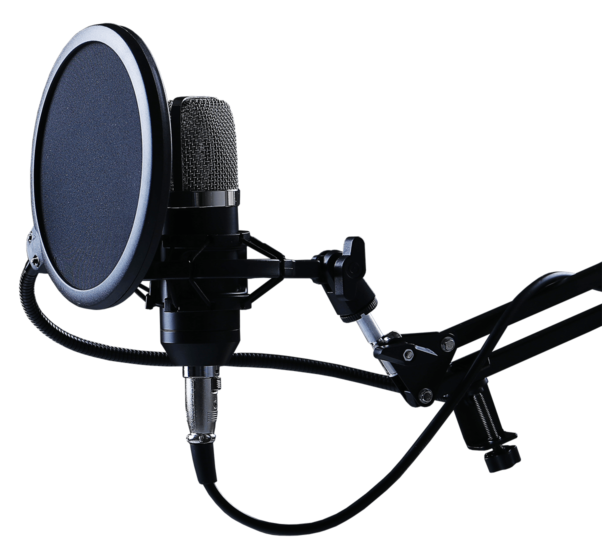 Our creative team would use microphones and voice talent to record various audio ads for programmatic placement. 